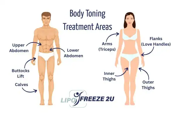 Graphic showing where you can have Body toning Treatment Hatfield on your body